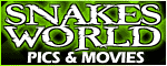 SnakesWorld-MGP